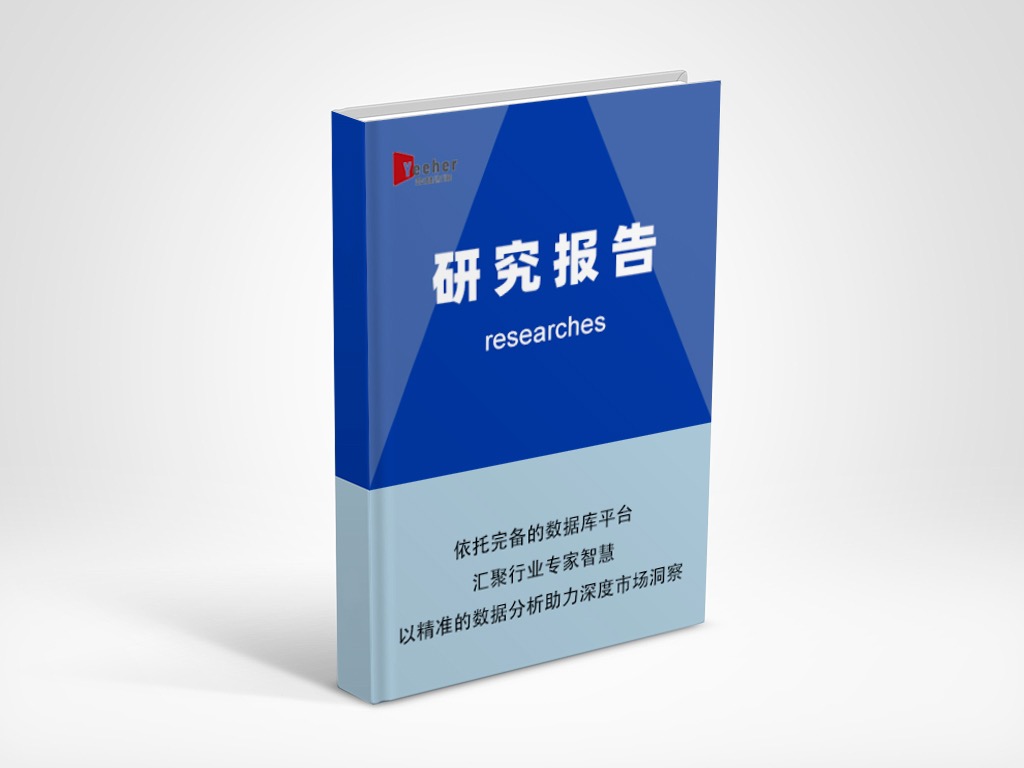 2025年医疗保健人员配备市场概览分析